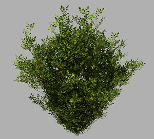 decoration - flowers 92 3D model