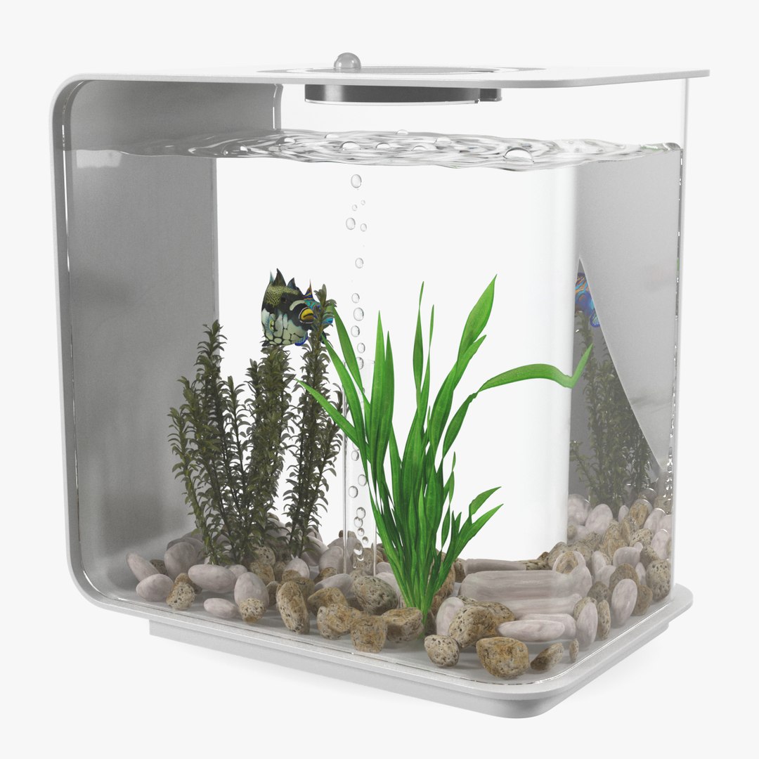 Rectangle Fish Tank White 3D model preview