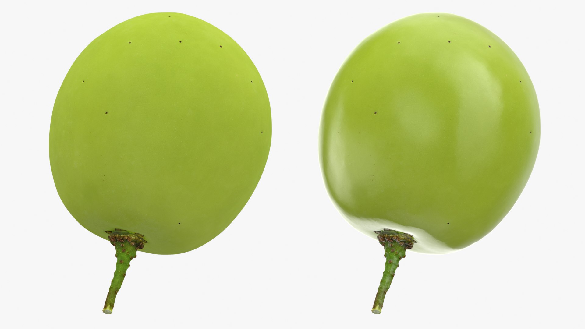 Green Grape - 3D Scanned Collection 2 3D model https://p.turbosquid.com/ts-thumb/EP/KTjoLI/a1/grapegreen02_0001b/png/1782833715/1920x1080/fit_q87/3c2ecccf479a5f8697d389c6c5d47e9705e43dc8/grapegreen02_0001b.jpg