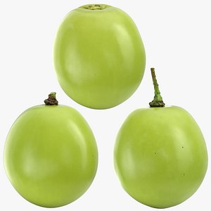 Green Grape - 3D Scanned Collection 3D model