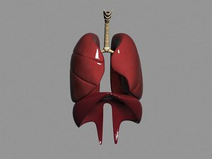 RESPIRATORY SYSTEM2