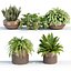 Indoor plants on shelf collection vol 184