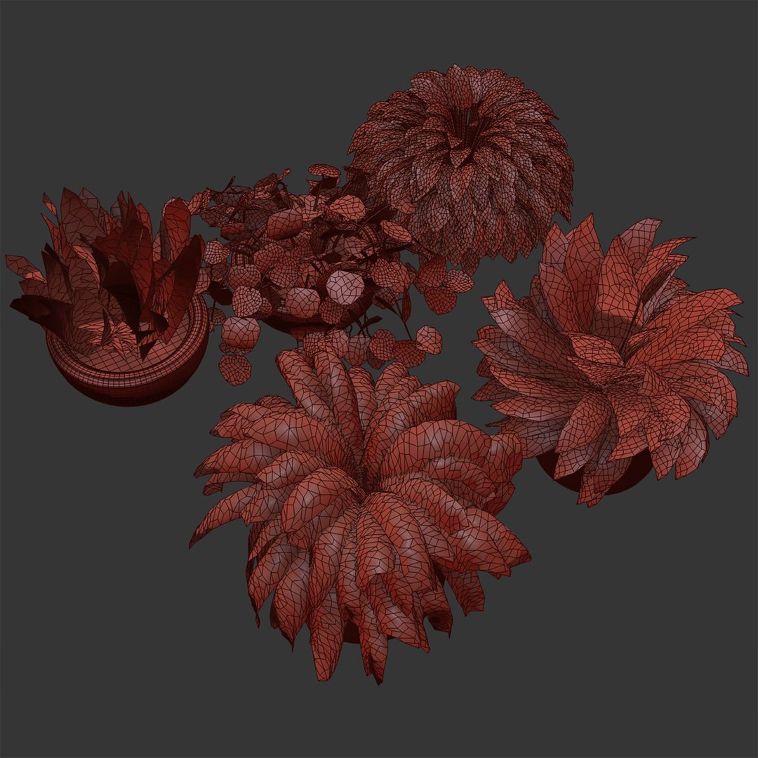 Indoor plants on shelf collection vol 184 3D model https://p.turbosquid.com/ts-thumb/EP/QGzfKi/EQ/6/jpg/1675791352/1920x1080/fit_q87/6c9ee247938f19806f7d581ea1d470ec6602d26f/6.jpg