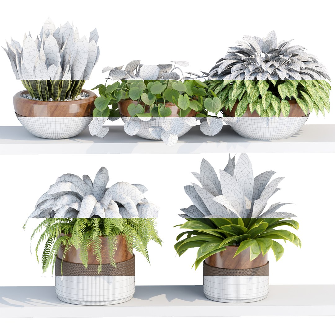 Indoor plants on shelf collection vol 184 3D model https://p.turbosquid.com/ts-thumb/EP/QGzfKi/cV/7/jpg/1675791353/1920x1080/fit_q87/d6dc7263e5638bd9079e6776a0f0b67aad119f20/7.jpg