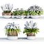 Indoor plants on shelf collection vol 184