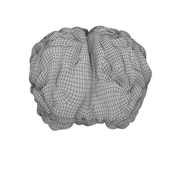 realistic brain 3d max