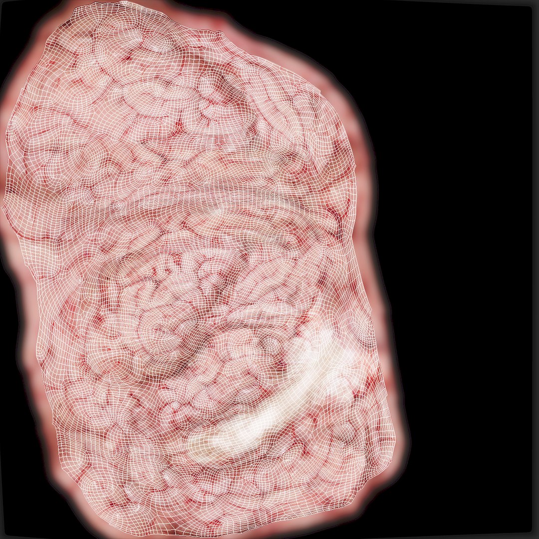 realistic brain 3d max https://p.turbosquid.com/ts-thumb/EP/REqzRk/aK7lXmBw/12/jpg/1463269327/1920x1080/fit_q87/47cfe38038e5494f71dfc47cb29a7e0df07b6874/12.jpg
