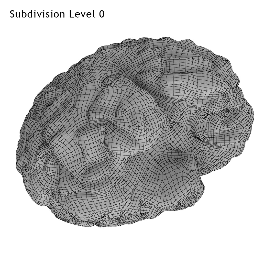 realistic brain 3d max https://p.turbosquid.com/ts-thumb/EP/REqzRk/ieIci2wn/10/jpg/1463269327/1920x1080/fit_q87/7074bda95cd6a2b1b1dac0e1786d68979c33c002/10.jpg