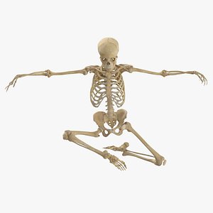 Real Human Female Skeleton Pose 96 model
