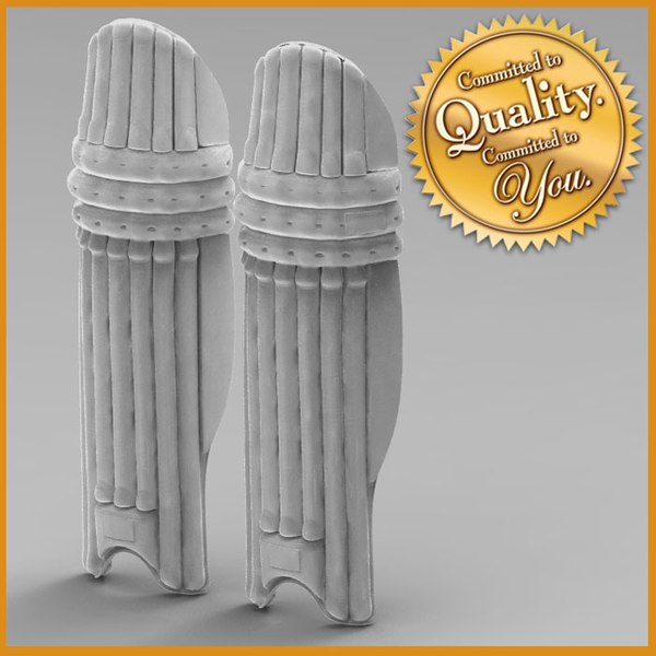 cricket pads 3d model