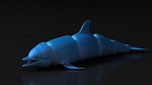 Articulated Dolphin
