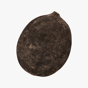 3D turnip black 03 raw model
