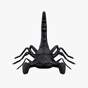 Low Poly Rigged Scorpion 3D