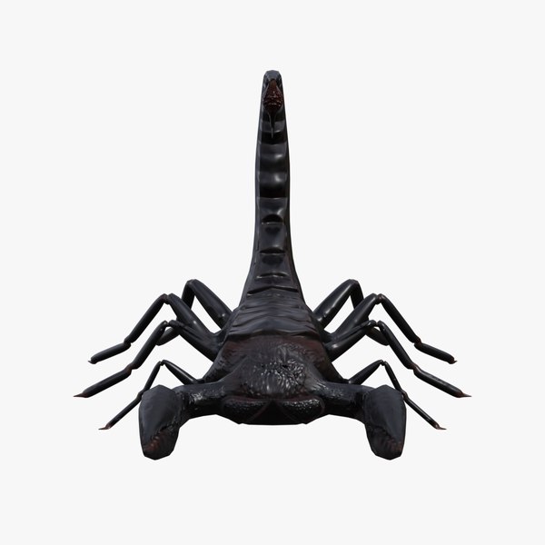 modelo 3d Low Poly Rigged Scorpion - TurboSquid 2010419