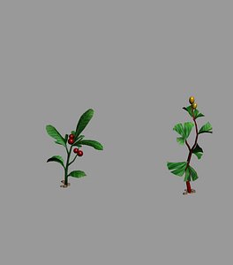Herbal medicine