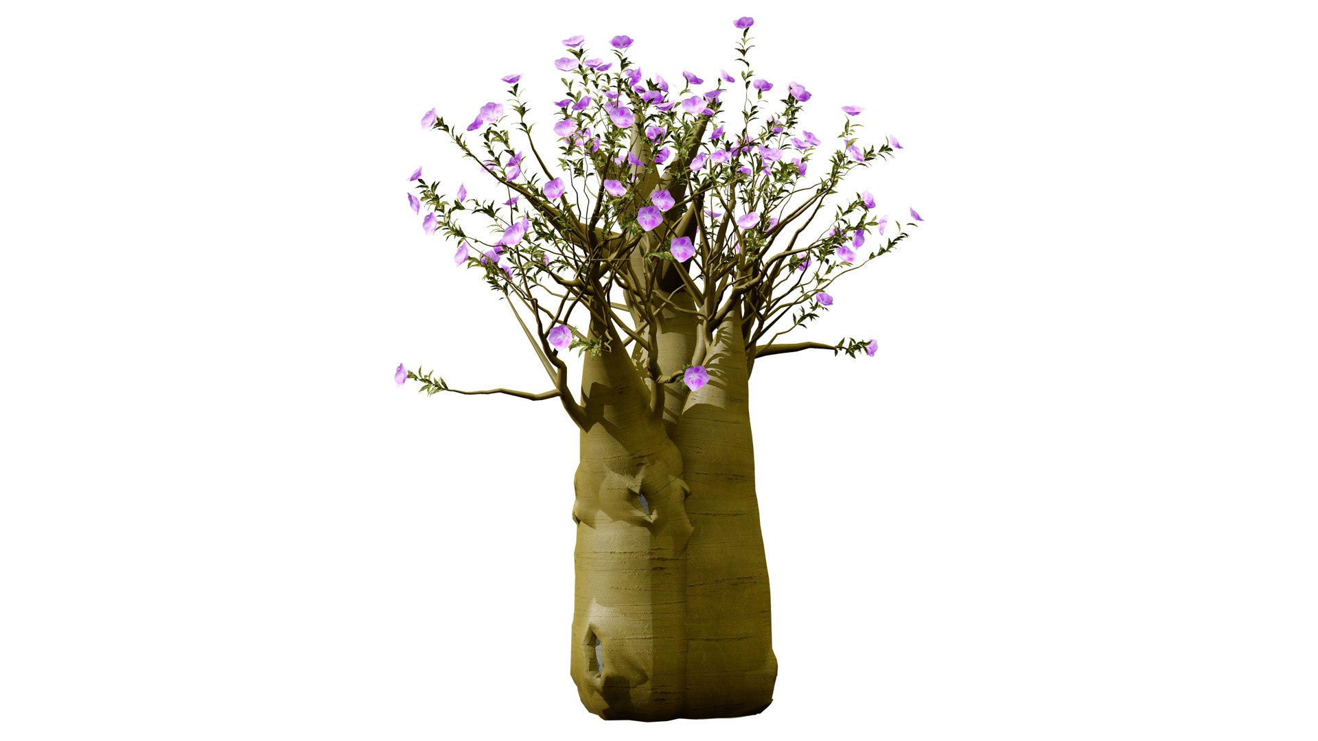 Exotic Desert Rose Collection model https://p.turbosquid.com/ts-thumb/EP/qeNWmD/Ga/arabiankudutreesadeniumobesumfirstvariation56l/jpg/1762040563/1920x1080/fit_q87/217baaaa03a9342c8d7166874286658bc5f3b586/arabiankudutreesadeniumobesumfirstvariation56l.jpg