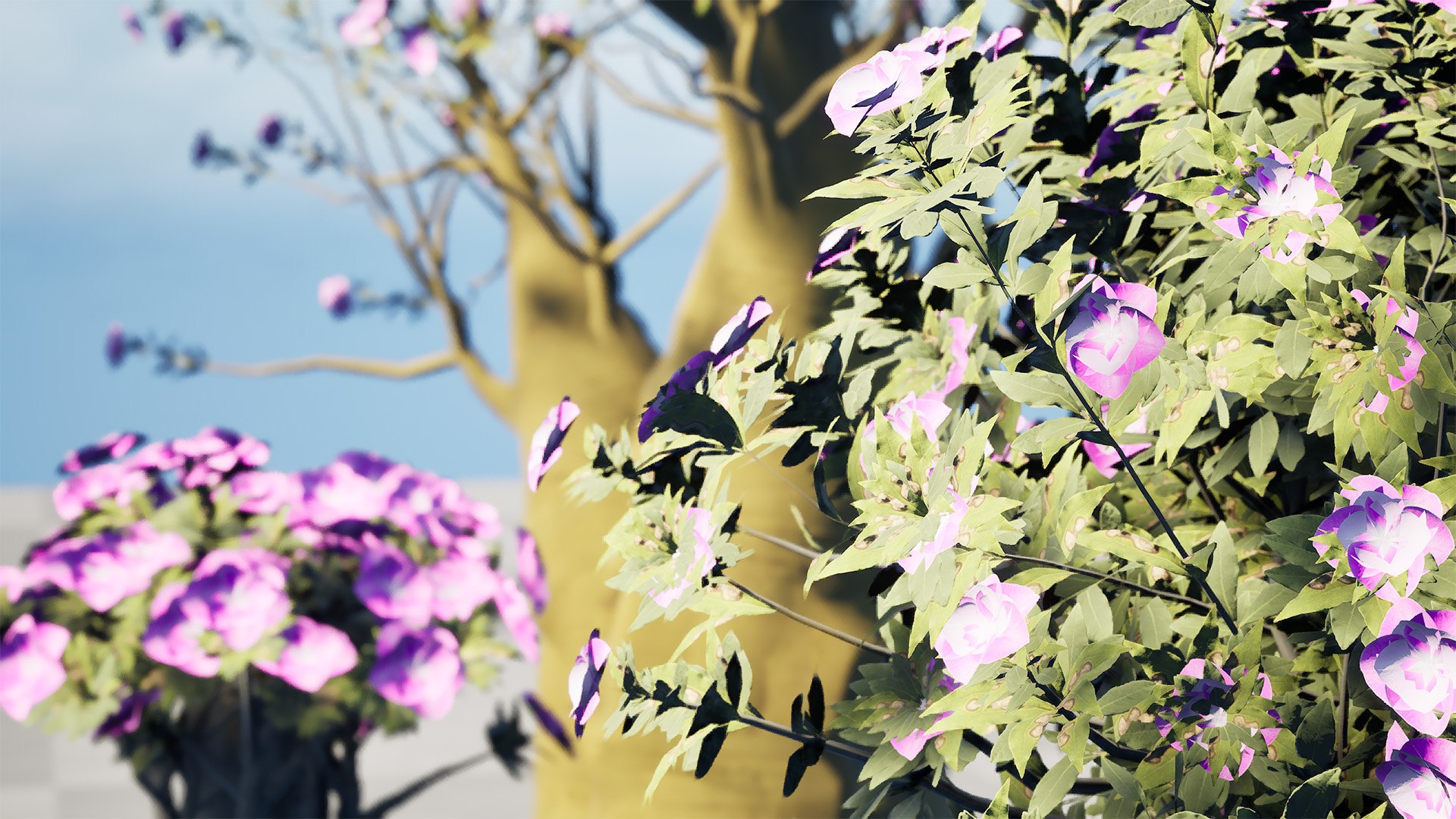 Exotic Desert Rose Collection model https://p.turbosquid.com/ts-thumb/EP/qeNWmD/Uf/highresscreenshot00002/jpg/1762040569/1920x1080/fit_q87/3845ca66fc354b70193ff03c35e1d8406fd6477b/highresscreenshot00002.jpg