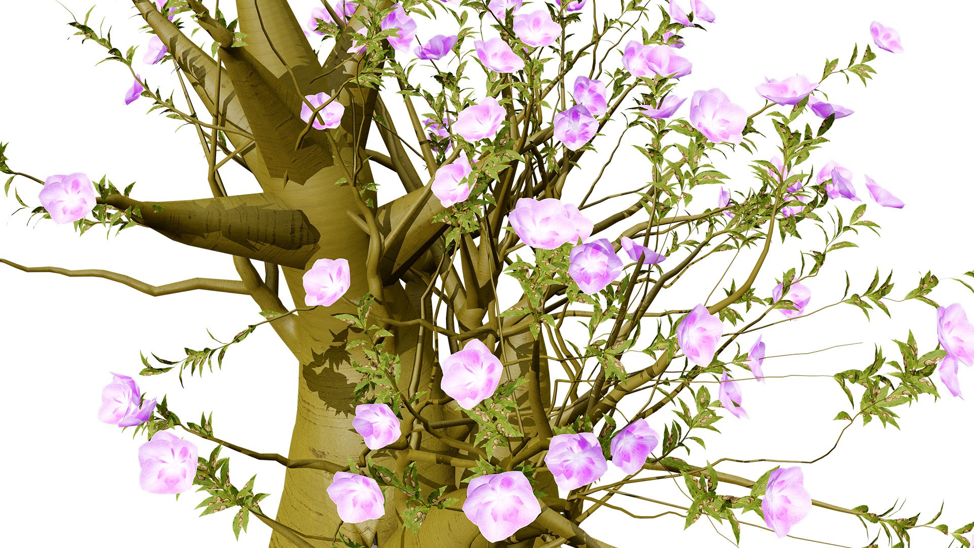Exotic Desert Rose Collection model https://p.turbosquid.com/ts-thumb/EP/qeNWmD/Yp/arabiankudutreesadeniumobesumfirstvariationz32l/jpg/1762040564/1920x1080/fit_q87/de4b6f5a835f4b7312ad7f6c7c6c05c0afd8658c/arabiankudutreesadeniumobesumfirstvariationz32l.jpg