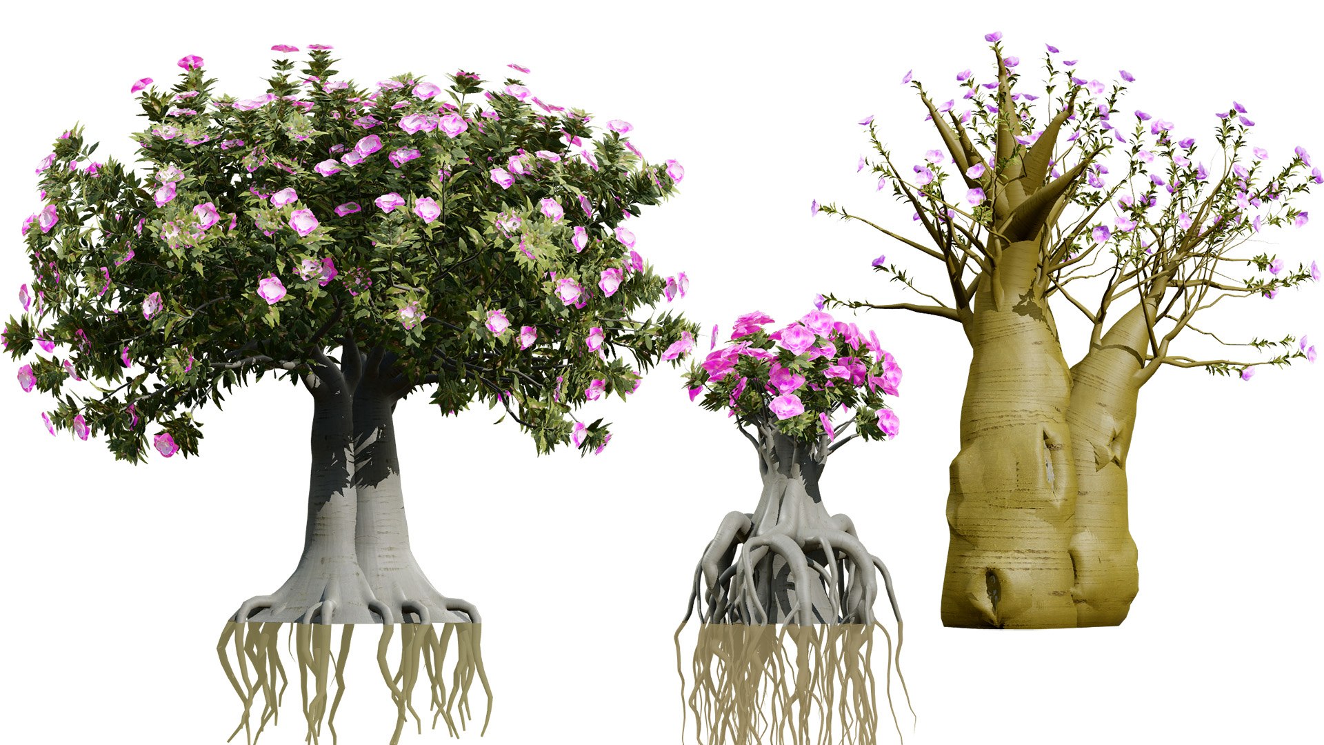 Exotic Desert Rose Collection model https://p.turbosquid.com/ts-thumb/EP/qeNWmD/aa/00artcoverarabiankudutreesadeniumobesumfirstvariation/jpg/1762040563/1920x1080/fit_q87/70dba8e58e426507c82caf993cfe286eaae499ee/00artcoverarabiankudutreesadeniumobesumfirstvariation.jpg