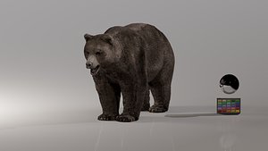 Bear - Rigged Blender 3d model model