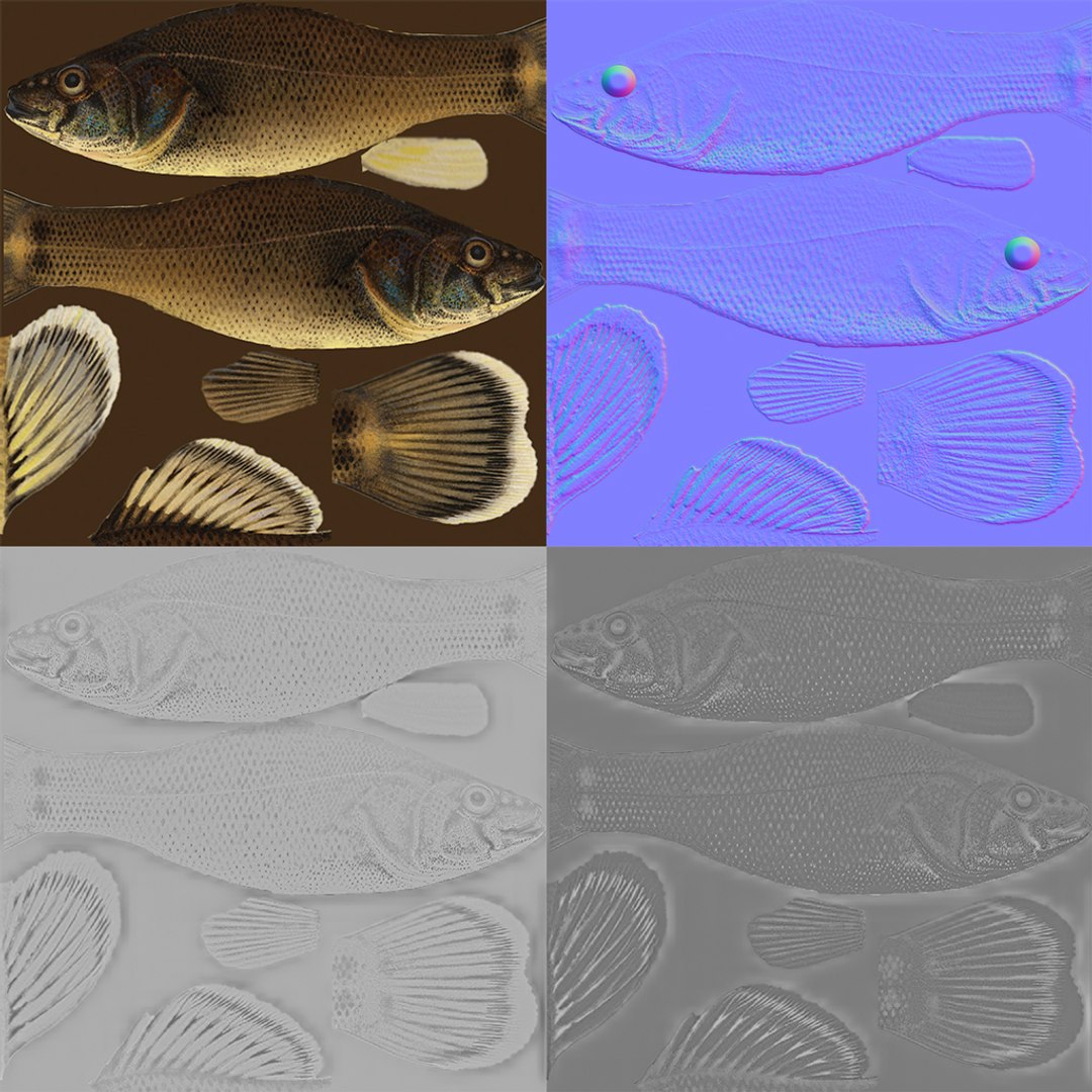3d fish https://p.turbosquid.com/ts-thumb/EQ/9uCE7n/0MxELVFN/maps/jpg/1474023622/1920x1080/fit_q87/b2410847703d4cc40e5cae5b078384306fbc39b7/maps.jpg