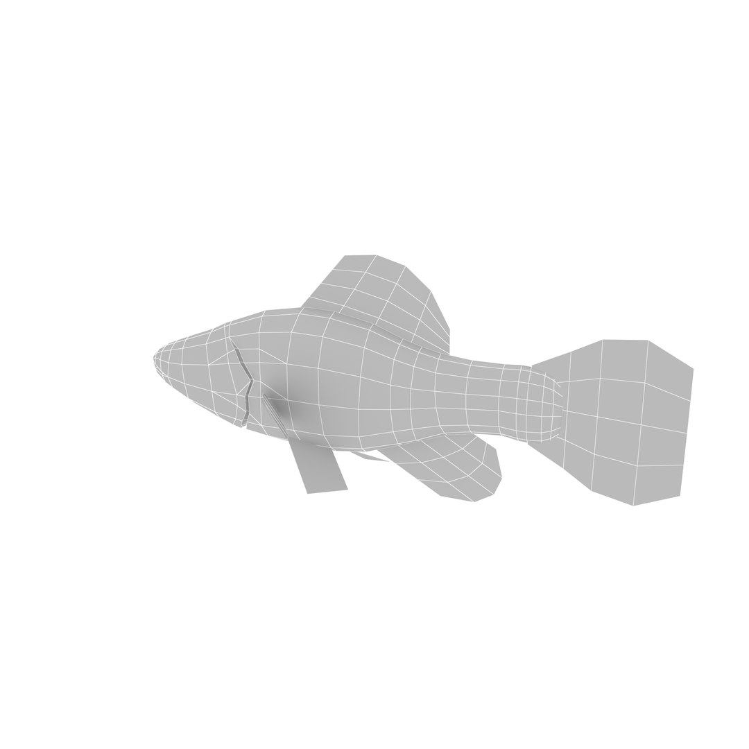 3d fish https://p.turbosquid.com/ts-thumb/EQ/9uCE7n/DvK8kXnn/render_grid/jpg/1474023623/1920x1080/fit_q87/ce484adf146d7e3d5499366efda0ffa76f400a15/render_grid.jpg