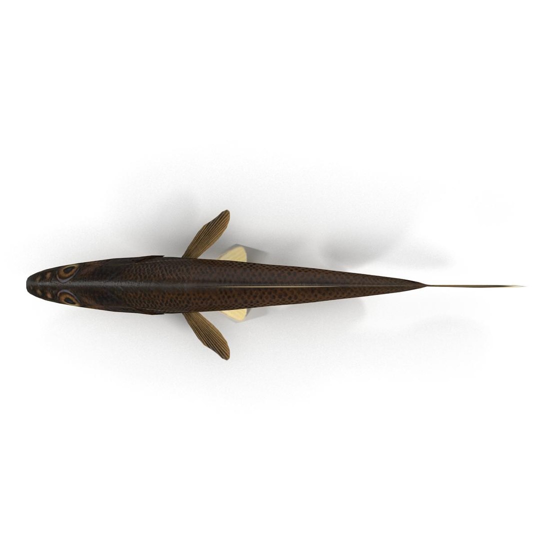 3d fish https://p.turbosquid.com/ts-thumb/EQ/9uCE7n/G0y16neV/render_5/jpg/1474023623/1920x1080/fit_q87/db2fae1ab5a59273e2a6de847e2b9f656ea3149a/render_5.jpg