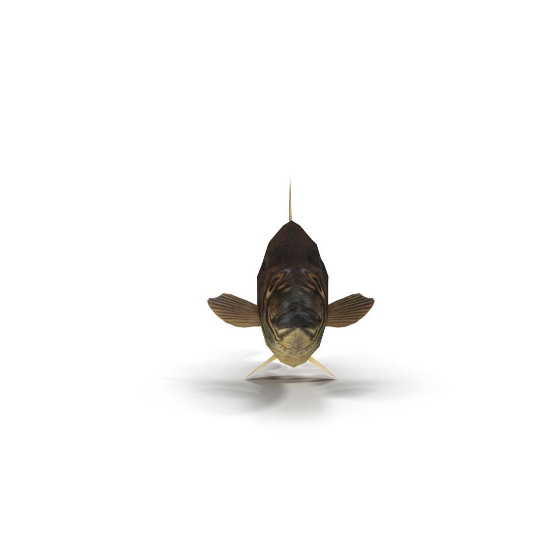 3d fish https://p.turbosquid.com/ts-thumb/EQ/9uCE7n/fEqQZY8F/render_8/jpg/1474023623/1920x1080/fit_q87/2a8f6b66bae45f182e4acf5674fa00a1dccfb81b/render_8.jpg