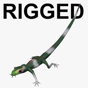 ground lizard rigged - obj