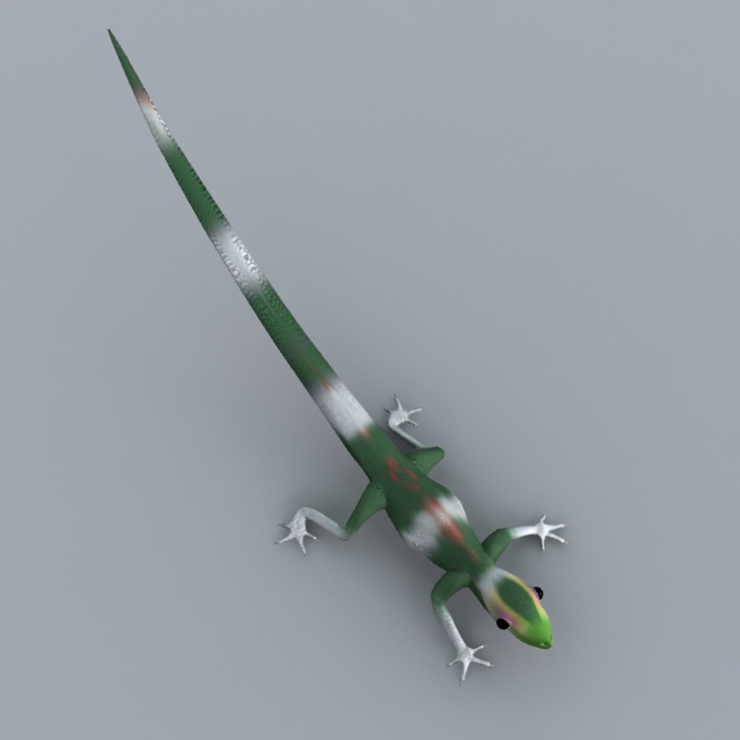 Ground Lizard Rigged - Obj