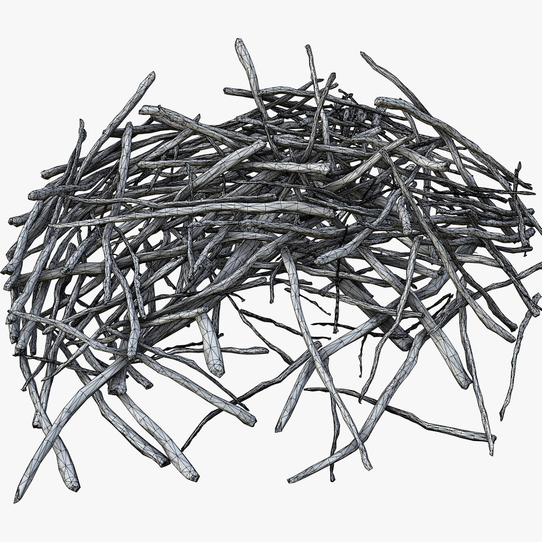 3d pile branches pbr model https://p.turbosquid.com/ts-thumb/EQ/ID06e4/1WI7zYpB/branch_010/jpg/1488059034/1920x1080/fit_q87/6c847b3c4019d97e4c7efd7c42f1320dbe0c3023/branch_010.jpg
