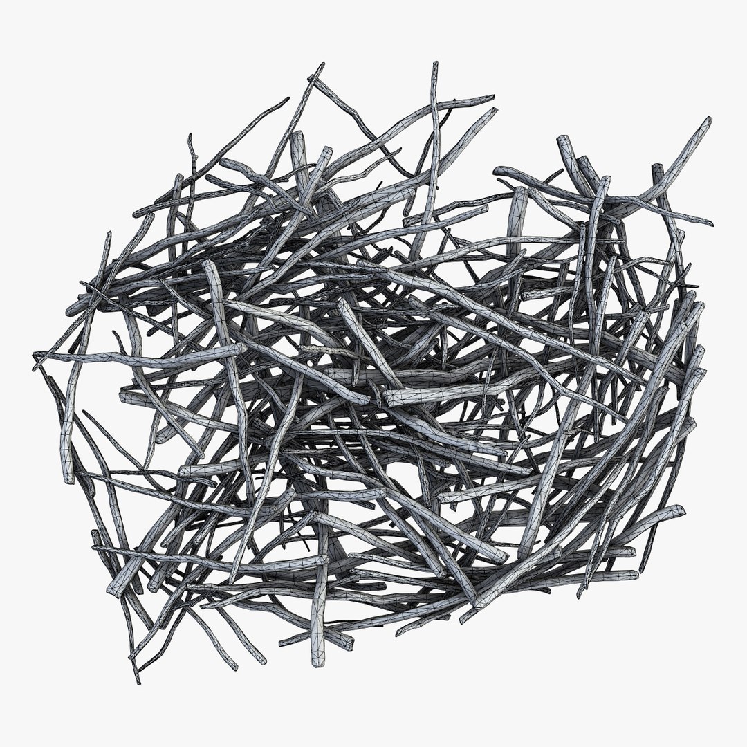 3d pile branches pbr model https://p.turbosquid.com/ts-thumb/EQ/ID06e4/DgJ2yGpk/branch_011/jpg/1488059034/1920x1080/fit_q87/8ab56dfb159331c57f7037c1c2f3ab359258c484/branch_011.jpg