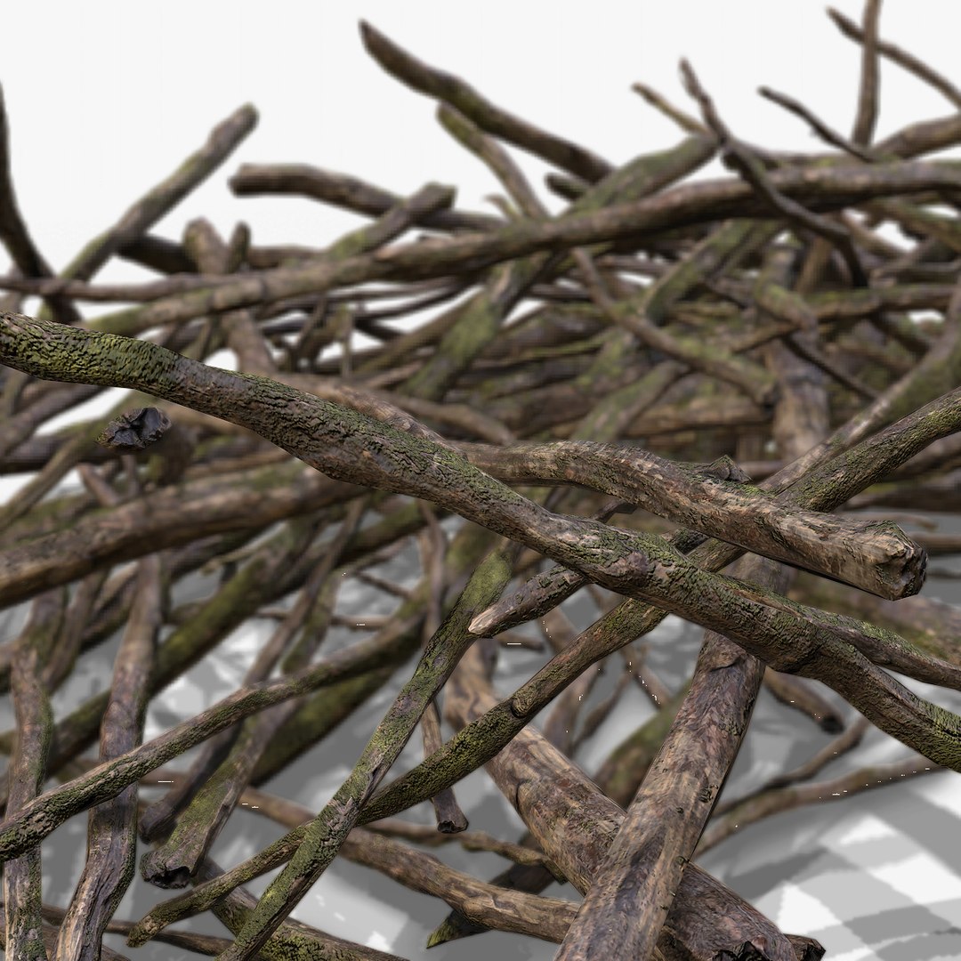 3d pile branches pbr model https://p.turbosquid.com/ts-thumb/EQ/ID06e4/QmrsGQ5J/branch_07/jpg/1488059034/1920x1080/fit_q87/a1fbfeefebc0d9aef0ac63576f0e35213210dcef/branch_07.jpg