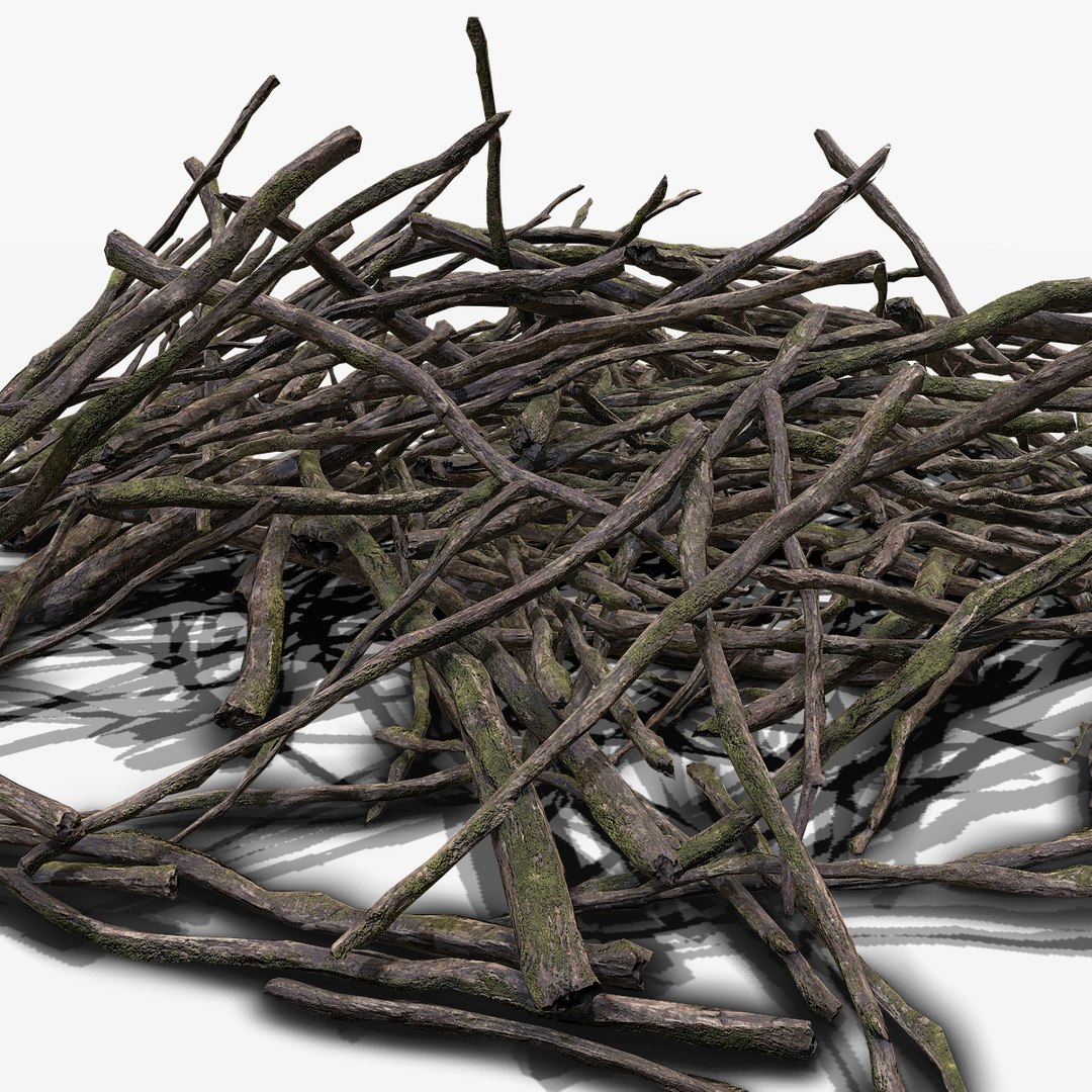 3d pile branches pbr model https://p.turbosquid.com/ts-thumb/EQ/ID06e4/Uwl7Q8aW/branch_06/jpg/1488059034/1920x1080/fit_q87/da29438b373712ebcc35a8cd75eb5e63c03cfa12/branch_06.jpg