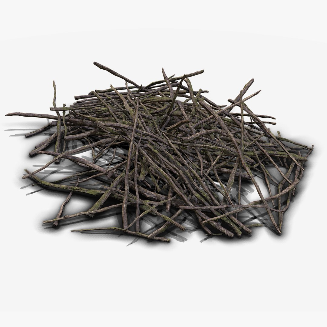 3d pile branches pbr model https://p.turbosquid.com/ts-thumb/EQ/ID06e4/bcavlI6s/branch_03/jpg/1488059034/1920x1080/fit_q87/2e8d2e8afdf2fddc574f0efcc43f1d8e42e2b9ed/branch_03.jpg