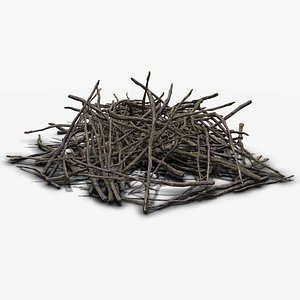 Pile of branches (pbr)