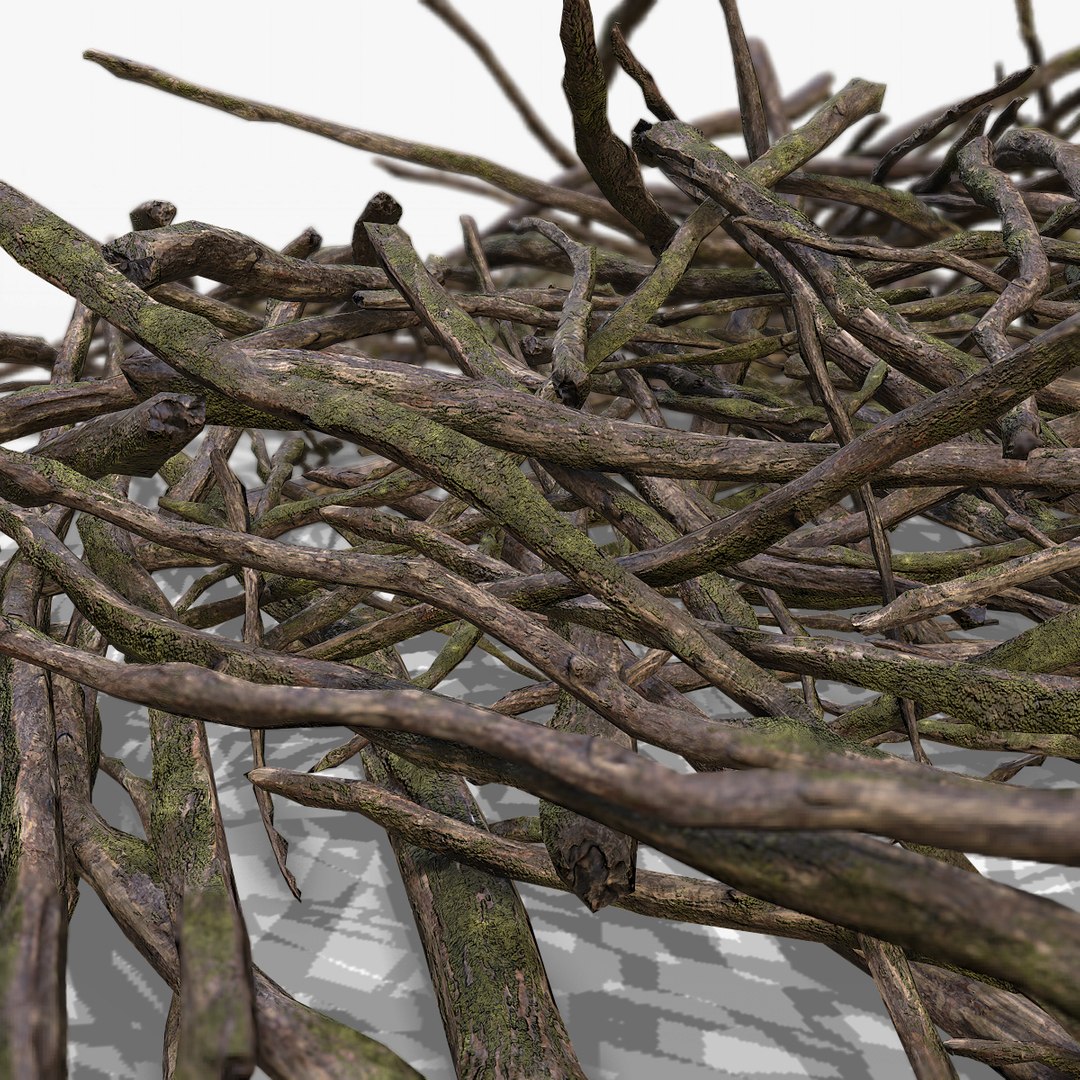 3d pile branches pbr model https://p.turbosquid.com/ts-thumb/EQ/ID06e4/nZWIyEuL/branch_08/jpg/1488059034/1920x1080/fit_q87/957f3ba495c8977a98e479736394dd32dd360f12/branch_08.jpg