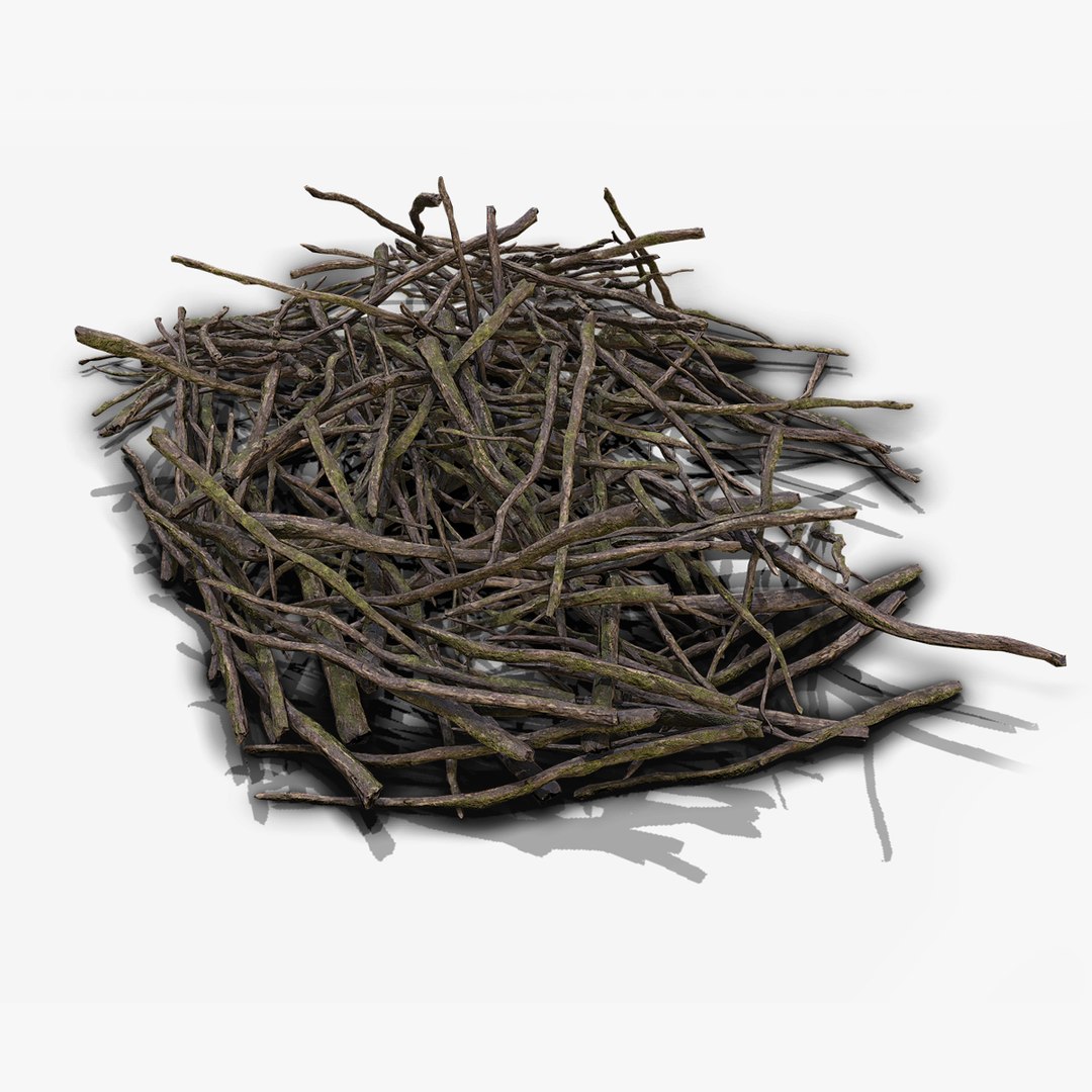 3d pile branches pbr model https://p.turbosquid.com/ts-thumb/EQ/ID06e4/xWw4xRli/branch_04/jpg/1488059034/1920x1080/fit_q87/067ca33f18c9075cf0b4cd7d422df674d2f60e0d/branch_04.jpg