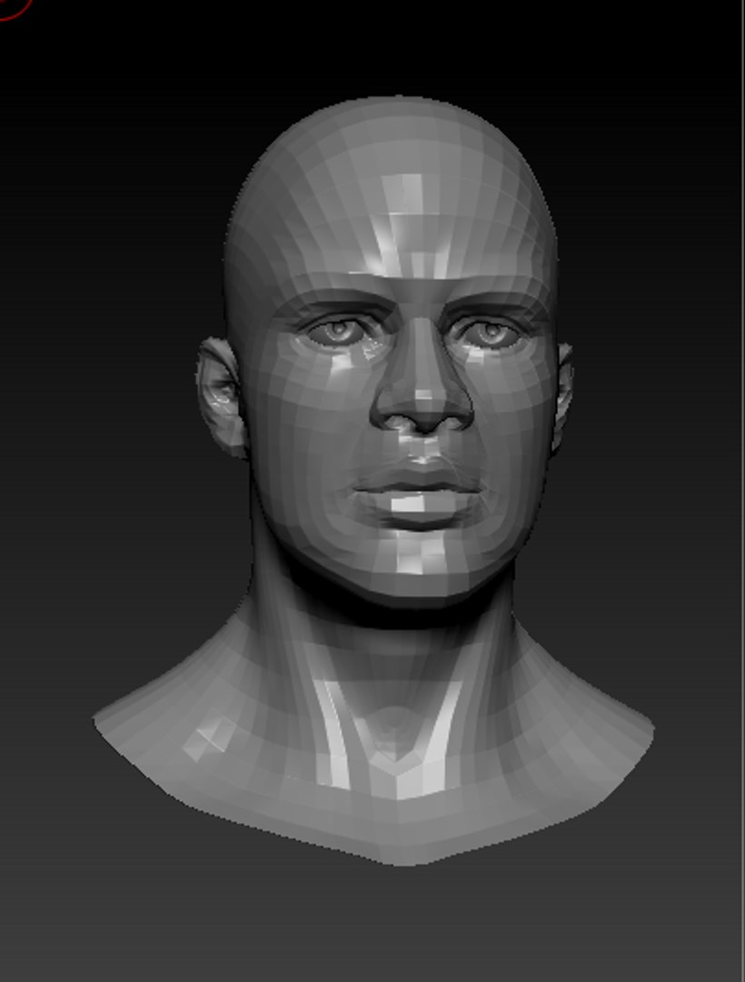 Bust African Male 3d Model