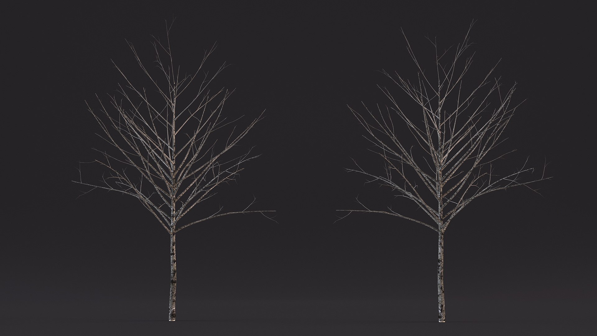 3D Bare Winter Tree Model - TurboSquid 2203533