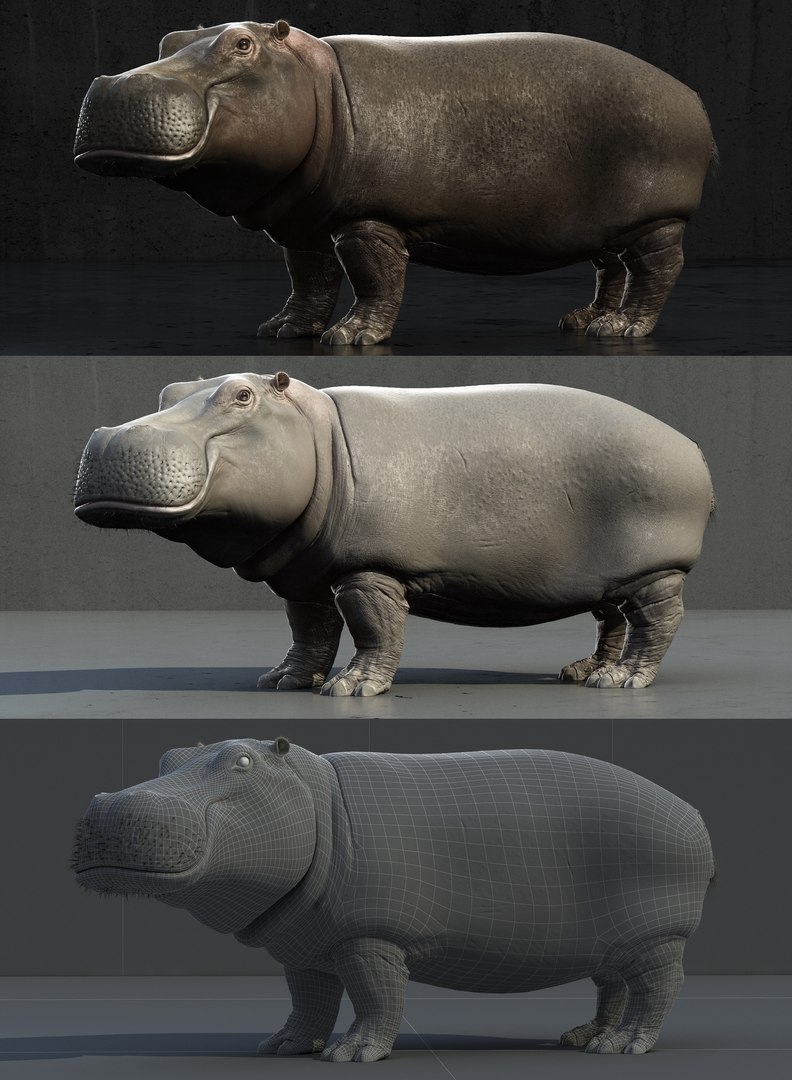 3d Realistic Rig