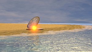 Shell with Magic Pearl