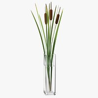 Cattail in Glass Vase