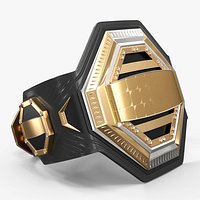 Champion Title Belt