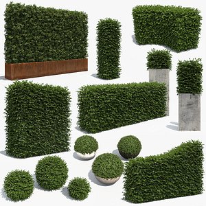 3D Architectural Boxwood Hedges and Topiary Pack
