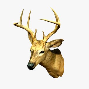 Wall Hanging Buck Deer Bust 3D model