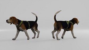 Dog Walking Casual 1 3D