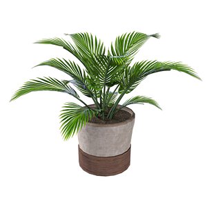 3D Plant V5