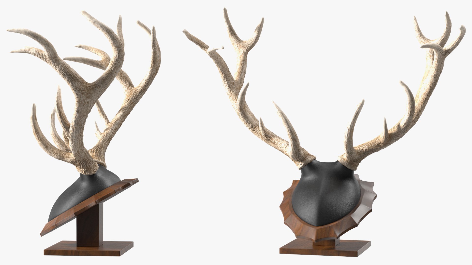 3D Showcase with Trophies Brown Illuminated https://p.turbosquid.com/ts-thumb/ER/n6Fsxm/L2/showcasewithtrophiesbrownilluminatedmb3dmodel023/jpg/1647633405/1920x1080/fit_q87/9c9f693ae86a88d1d78f1c8506affb8f6bab8ccc/showcasewithtrophiesbrownilluminatedmb3dmodel023.jpg