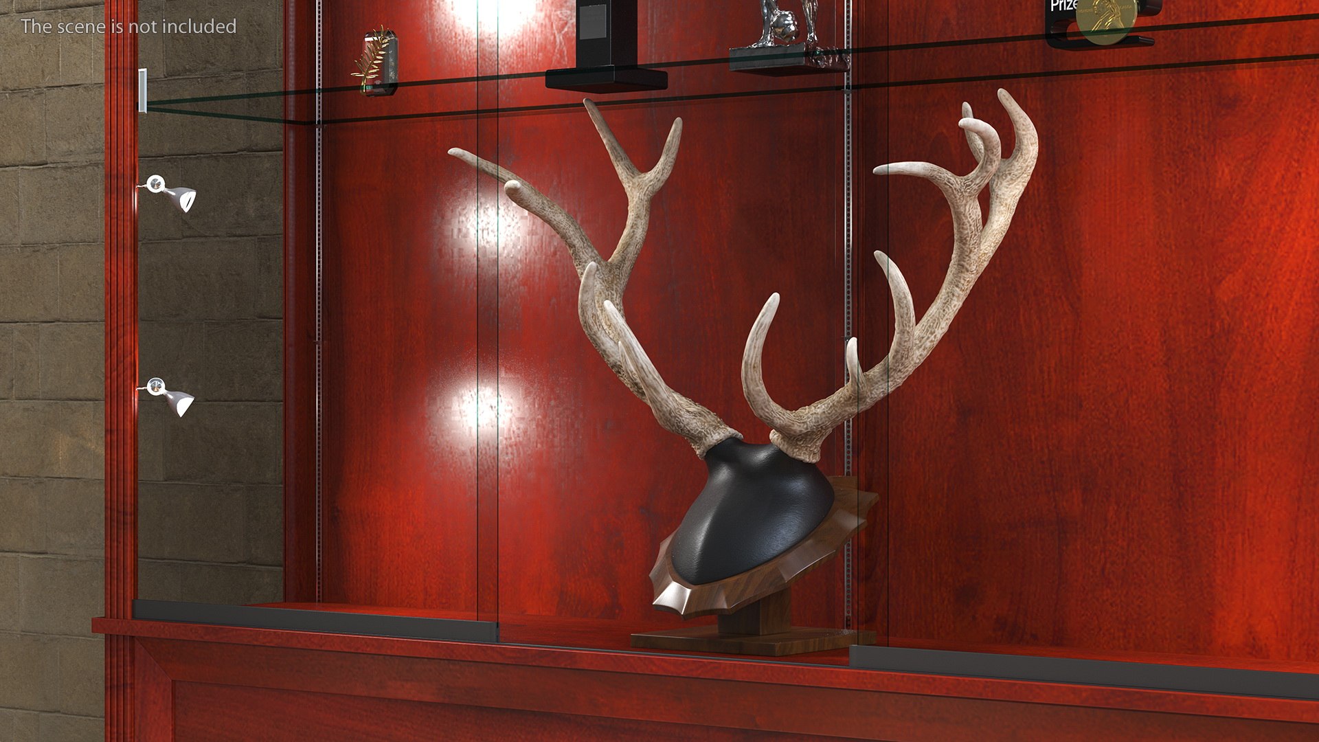 3D Showcase with Trophies Brown Illuminated https://p.turbosquid.com/ts-thumb/ER/n6Fsxm/Tl/showcasewithtrophiesbrownilluminatedmb3dmodel007/jpg/1647633357/1920x1080/fit_q87/a7270600020c603b2cb9029061688691a7c034a7/showcasewithtrophiesbrownilluminatedmb3dmodel007.jpg